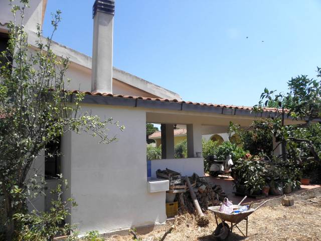 Photo 42