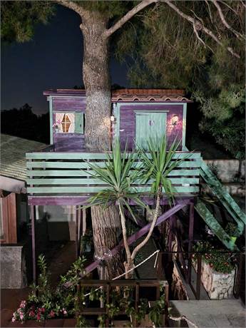 Photo 32