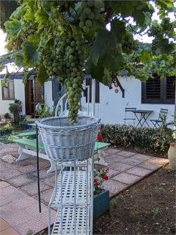 Photo 29